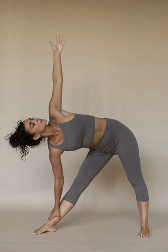 Indigo Luna 'Ananda' Tank Ash - Image 3