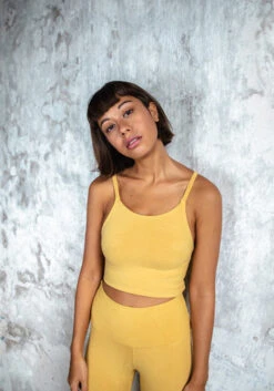 Indigo Luna 'Ananda' Tank Dandelion